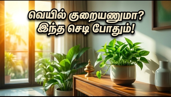 Vastu Tips for Summer: Keep Your Home Cool and Lucky with These Indoor Plants