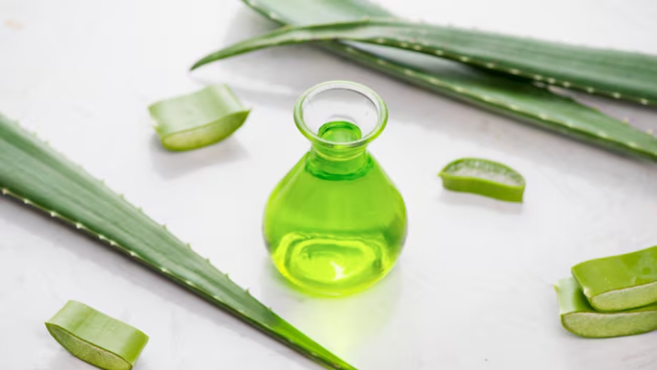 Hair Care Tips How To Make Aloe Vera Oil At Home For Faster Hair Growth Hair Care Tips How To Make Aloe Vera Oil At Home For Faster Hair Growth
