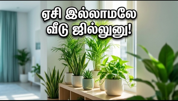 Indoor Plants for Home Cooling: Best Vastu Tips to Beat the 2026 Summer Heat and Attract Prosperity