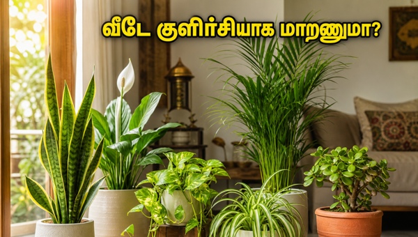 Indoor Plants for Home: Best Vastu Tips to Keep Your House Cool and Attract Wealth in 2026
