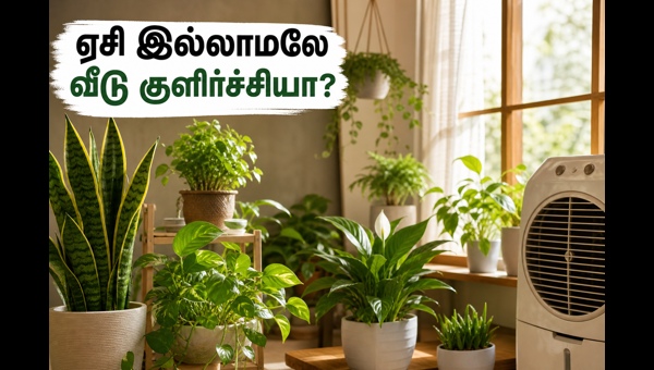 Indoor Plants for Summer: Best Vastu-Approved Plants to Keep Your Home Cool and Fresh in 2026