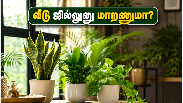 Vastu Plants for Home: Best Indoor Plants to Keep Your House Cool and Attract Wealth in 2026 Vastu Plants for Home: Best Indoor Plants to Keep Your House Cool and Attract Wealth in 2026