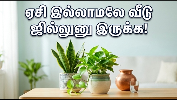 Best Vastu Indoor Plants to Keep Your Home Cool and Attract Wealth in 2026