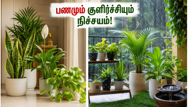 Vastu Plants for Home: Best Indoor Plants to Keep Your House Cool and Attract Wealth in 2026 Vastu Plants for Home: Best Indoor Plants to Keep Your House Cool and Attract Wealth in 2026