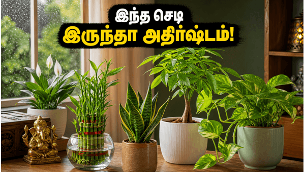 Vastu Plants for Home: Best Indoor Plants to Attract Wealth, Prosperity, and Keep Your House Cool in 2026
