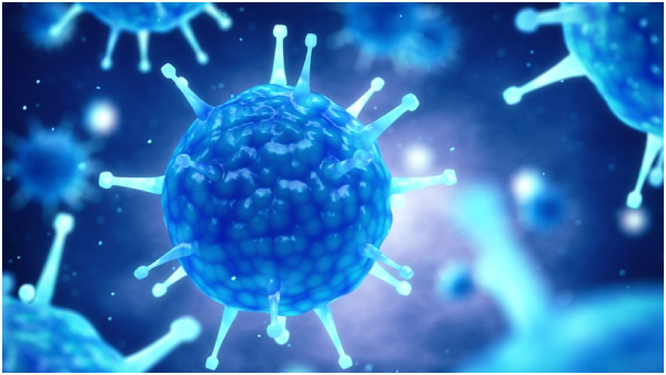 Hanta Virus Outbreak What Is Hanta Virus Symptoms Causes Treatment And Prevention
