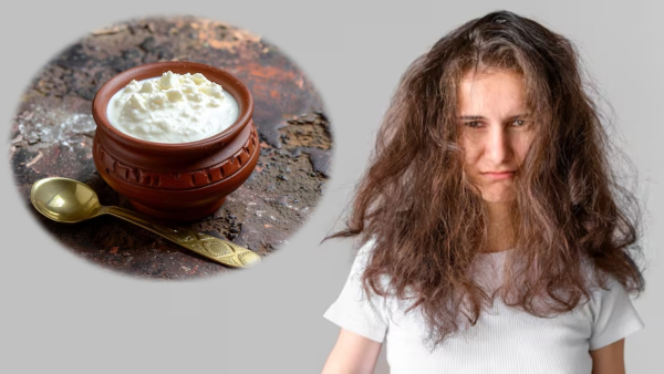 Hair Care Tips Top 5 Homemade Curd Hair Masks To Get Smooth Hair