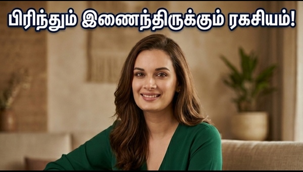 Evelyn Sharma Divorce: Lessons on Co-Parenting and Modern Family Dynamics in 2026
