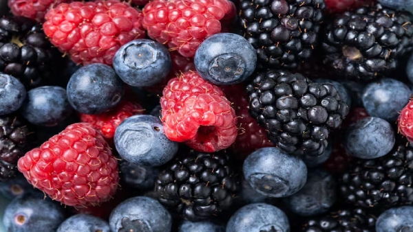 Kidney Health Best Fruits Should Eat To Reduce the Risk of Kidney Disease