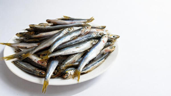 Mathi Meen Benefits Doctor Lists The Health Benefits Of Eating Sardines