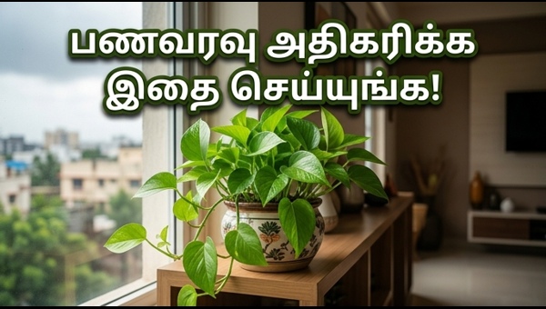 Money Plant Vastu Tips: Simple Secrets to Attract Wealth and Positive Energy at Home on May 7, 2026