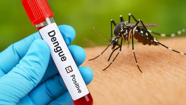 National Dengue Day 2026 Important Details About Dengue Fever