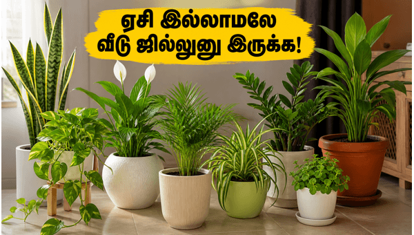 Vastu Indoor Plants for Summer: Best Cooling Plants to Keep Your Home Cool and Attract Wealth in 2026
