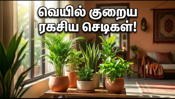 Vastu Plants for Home: Best Plants to Reduce Heat and Attract Wealth in 2026