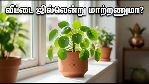 Vastu Plants for Home Cooling: Best Indoor Plants to Keep Your House Cool and Attract Wealth in 2026