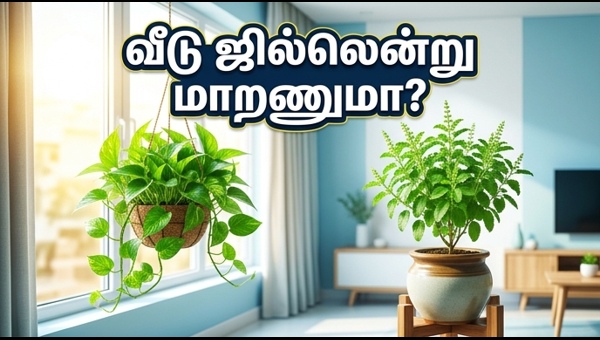Vastu Plants for Home: Best Indoor Plants to Keep Your House Cool and Fresh in 2026