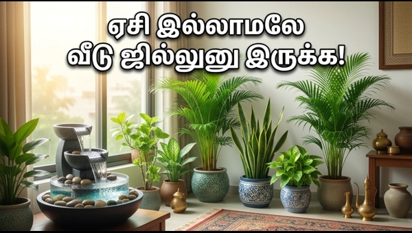 Vastu Tips for Indoor Plants: Keep Your Home Cool and Lucky This Summer 2026