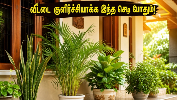 Vastu Tips for Cool Home: Best Plants and Directions to Beat Summer Heat in 2026 for Prosperity and Comfort Vastu Tips for Cool Home: Best Plants and Directions to Beat Summer Heat in 2026 for Prosperity and Comfort