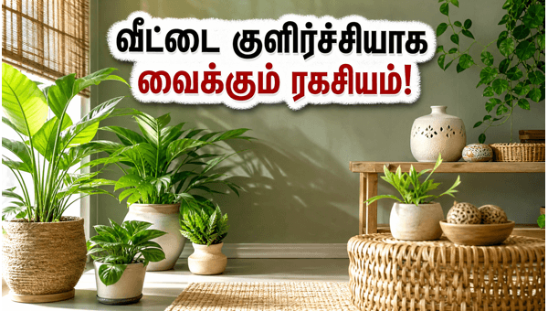 Beat the 2026 Summer Heat: Best Vastu Plants to Keep Your Home Cool and Calm Beat the 2026 Summer Heat: Best Vastu Plants to Keep Your Home Cool and Calm