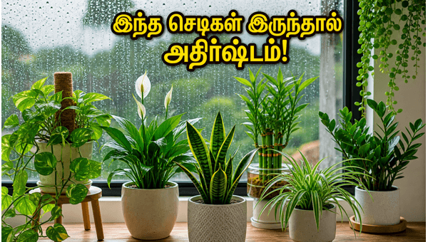 Best Vastu Plants for Home in 2026: Attract Wealth and Positivity During Monsoon Best Vastu Plants for Home in 2026: Attract Wealth and Positivity During Monsoon