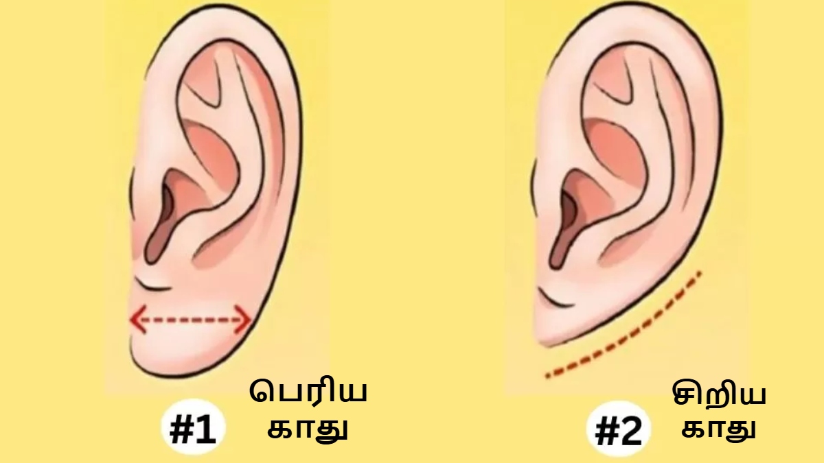 இதுல உங்க காது எந்த டைப்-ன்னு சொல்லுங்க.. உங்க உண்மையான குணத்தை சொல்றோம்..