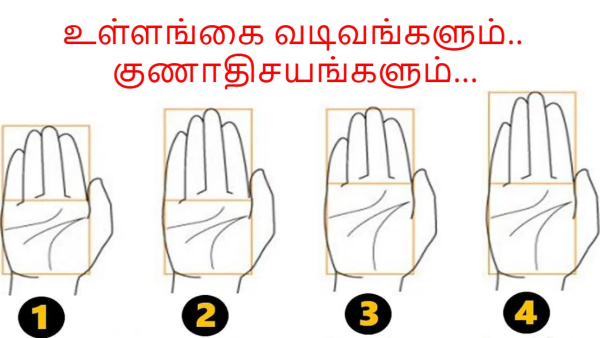 Hand Shape Personality Test What the Shape of Your Hand Says About You