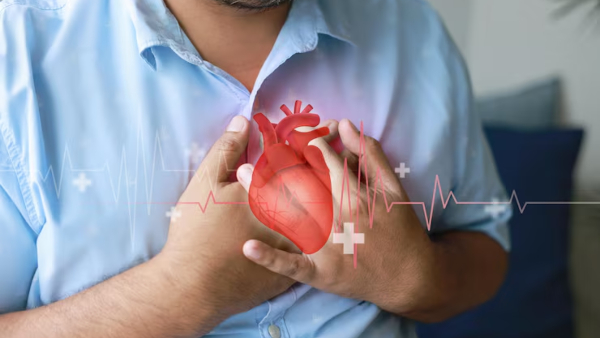Doctor Pillai Shared a Simple Diet Chart To Prevent Heart Attacks Doctor Pillai Shared a Simple Diet Chart To Prevent Heart Attacks