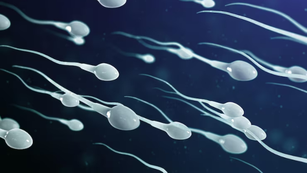 Doctor Explains Sperm Color and What Each Shade Means for Male Fertility Doctor Explains Sperm Color and What Each Shade Means for Male Fertility