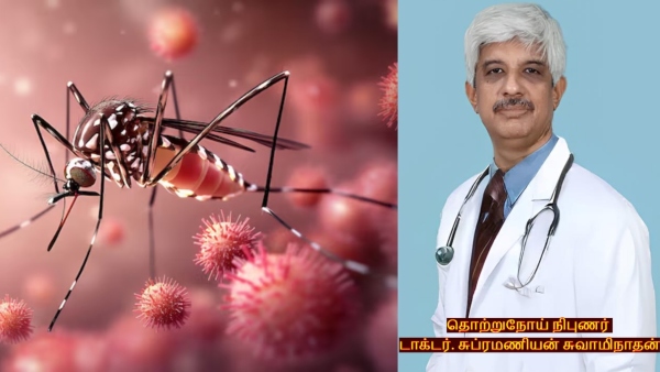 Dengue Cases Spike In Chennai Doctor Explains Warning Signs Prevention Tips And Foods For Recovery Dengue Cases Spike In Chennai Doctor Explains Warning Signs Prevention Tips And Foods For Recovery