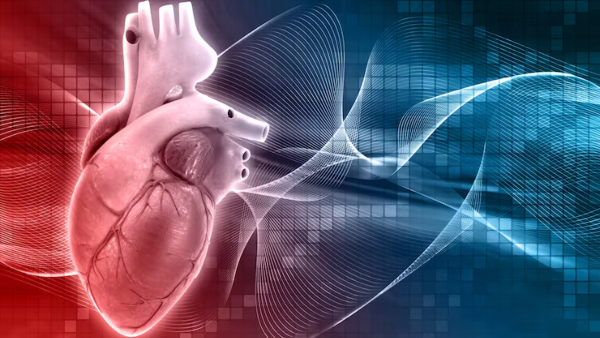 World Heart Day 2026 What Happens to Your Heart Within Minutes of Smoking One Cigarette Cardiologist Explains