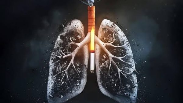 World Lung Day 2026 How Long Does It Take For Lungs To Clear Cigarette Smoke Pulmonologist Explains World Lung Day 2026 How Long Does It Take For Lungs To Clear Cigarette Smoke Pulmonologist Explains