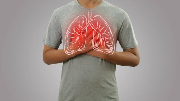 World Lung Day 2026 How Long Does It Take For Lungs To Clear Cigarette Smoke Pulmonologist Explains World Lung Day 2026 How Long Does It Take For Lungs To Clear Cigarette Smoke Pulmonologist Explains