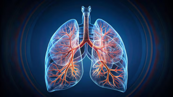 World Lung Day 2026 How Long Does It Take For Lungs To Clear Cigarette Smoke Pulmonologist Explains World Lung Day 2026 How Long Does It Take For Lungs To Clear Cigarette Smoke Pulmonologist Explains