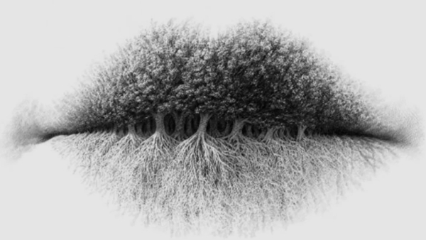 Personality Test This Optical Illusion Reveals What Kind Of Person You Are Personality Test This Optical Illusion Reveals What Kind Of Person You Are
