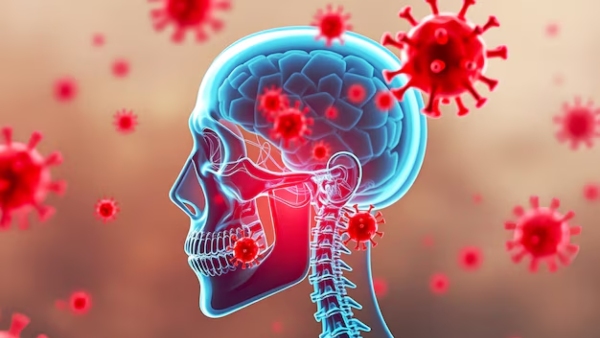 World Meningitis Day 2026 Doctor Explains What Is Meningitis Symptoms Causes Risk Factors amp amp Prevention