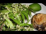వివిధ రాష్ట్రాల్లో ఉగాదిని ఎలా సెలెబ్రేట్ చేసుకుంటారో తెలుసా?