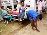 ఆసుపత్రిలో చేరిన చేపలు, పేషెంట్స్ తో ఆడుకుంటున్నాయి, ప్రభుత్వాన్ని ఎక్కేస్తున్నారు
