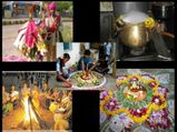 'కనుమ నాడు కాకి అయినా కదలదు'... మరి మనం ప్రయాణాలు చేయొచ్చా...