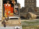 Peculiar temples : దోమలు, కప్పలు, గబ్బిలాలు, మూషికాలకు ఆలయాలున్నాయని మీకు తెలుసా...