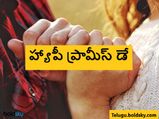 Promise Day 2023: ప్రామీస్ డే రోజున కొన్ని ప్రత్యేక వాగ్దానాలు చేయండి.. మీ ప్రేయసి మనసు దోచేయండి... 