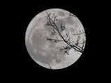 Lunar Eclipse 2021:రేపు ఆకాశంలో మరో అద్భుతం.. కనులవిందు చేయనున్న బ్లడ్ మూన్...