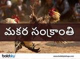 కోడి పందేల చరిత్ర, యుద్దాలే జరిగాయి, కోట్లరూపాయల్లో వ్యాపారం, ప్రతిష్ట, పౌరుషానికి చిహ్నం ఈ పందేలు
