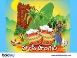 Makar Sankranti 2023: సంక్రాంతి పండుగ జరుపుకోవడానికి ప్రధాన కారణాలేంటో తెలుసా...
