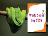 World Snake day 2022: స్నేక్ డే ప్రాముఖ్యత. అసలెందుకీ రోజు 