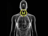Hypothyroidism: థైరాయిడ్ బాధితులు బరువు తగ్గాలంటే.. ఇలా చేయండి