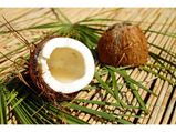World Coconut Day 2022: బరువు తగ్గడం నుండి జుట్టు పెరుగుదల వరకు ఎన్నో అద్భుతమైన ప్రయోజనాలు 