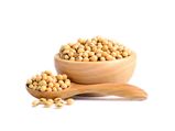 Soya Myths: సోయాతో సంతానలేమి, రొమ్ము క్యాన్సర్.. అపోహలేనంటున్న వైద్యులు 