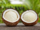 Coconut Embryo: మీరు ఇంకా కొబ్బరి పువ్వును ఎప్పుడైనా తిన్నారా? ఇది తింటే ఎలాంటి లాభాలు ఉంటాయో తెలుసా?