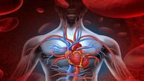 High Blood Pressure: అధిక రక్తపోటు అంటే ఏమి? హెబిపి ఒకరిని ఎలా చంపుతుందో తెలుసా?