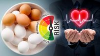 EGG:గుడ్డుతో గుండెపోటుకు చెక్... ఎలా సాధ్యం..?